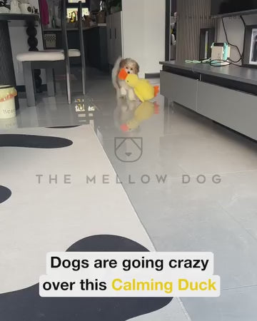 Pet Plush Toy Dog Calming Duck Stuffed Duck Toys Chew Toy Squeaky For Puppy Pet Teeth Cleaning Chew Pillow Toy Pet Supplies